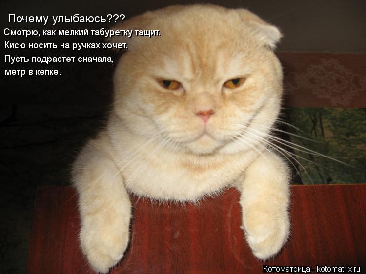 Почему улыбаюсь??? Смотрю, как мелкий табуретку тащит. Кисю носить на ручках хочет. Пусть подрастет с... Котоматрица: Почему улыбаюсь??? Смотрю, как мелкий табуретку тащит. Кисю носить на ручках хочет. Пусть подрастет сначала, метр в кепке.
