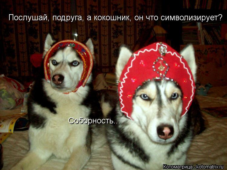 Послушай, подруга, а кокошник, он что символизирует? Соборность...... Котоматрица: Послушай, подруга, а кокошник, он что символизирует? Соборность...