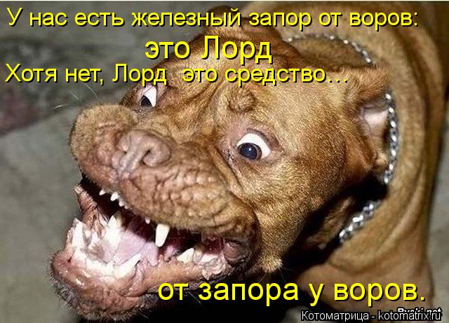 У нас есть железный запор от воров: это Лорд Хотя нет, Лорд это средство… от запора у воров.... Котоматрица: У нас есть железный запор от воров: это Лорд Хотя нет, Лорд это средство… от запора у воров.