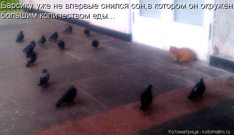 Барсику уже не впервые снился сон,в котором он окружён большим количеством еды...... Котоматрица: Барсику уже не впервые снился сон,в котором он окружён большим количеством еды...
