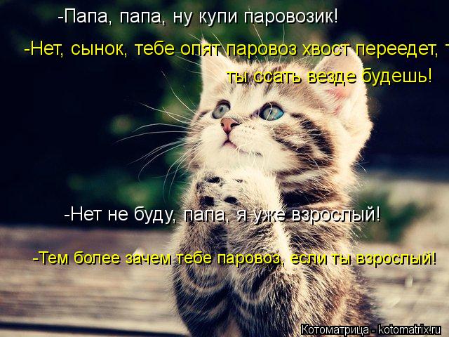 -Папа, папа, ну купи паровозик! -Нет, сынок, тебе опят паровоз хвост переедет, ты ссать везде будешь!... Котоматрица: -Папа, папа, ну купи паровозик! -Нет, сынок, тебе опят паровоз хвост переедет, ты ссать везде будешь! ты ссать везде будешь! -Нет не буду, папа, я