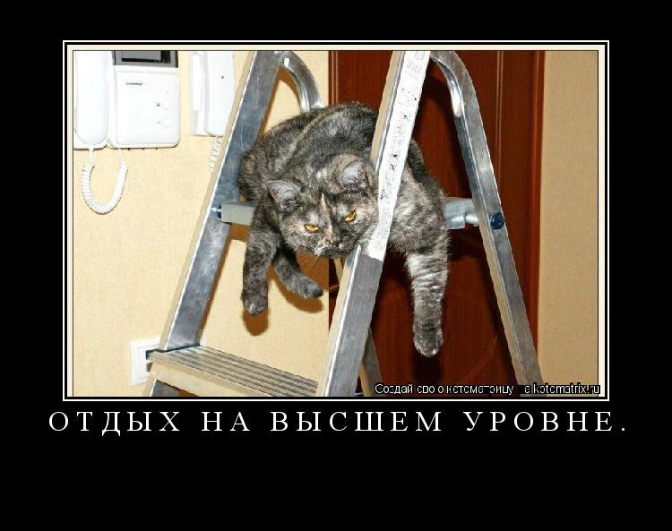 ОТДЫХ НА ВЫСШЕМ УРОВНЕ. ... Котоматрица: ОТДЫХ НА ВЫСШЕМ УРОВНЕ.