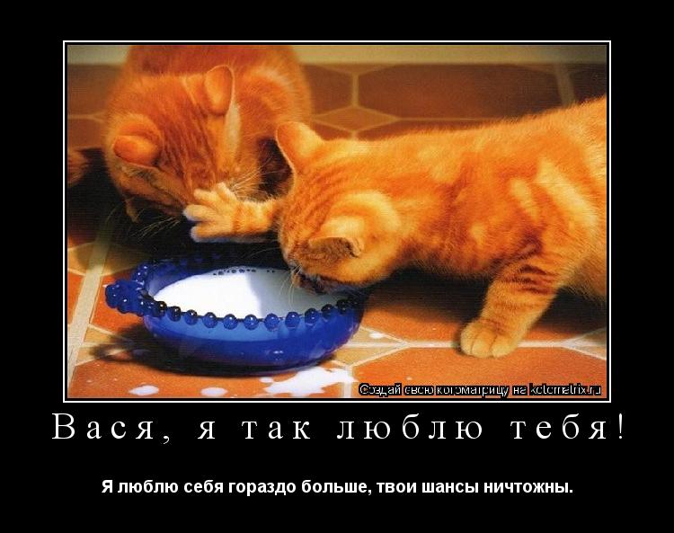 Котоматрица: Вася, я так люблю тебя! Я люблю себя гораздо больше, твои шансы ничтожны.