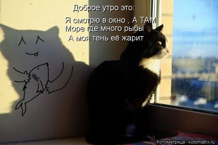Доброе утро это: Я смотрю в окно , А ТАМ Море где много рыбы А моя тень её жарит... Котоматрица: Доброе утро это: Я смотрю в окно , А ТАМ Море где много рыбы А моя тень её жарит