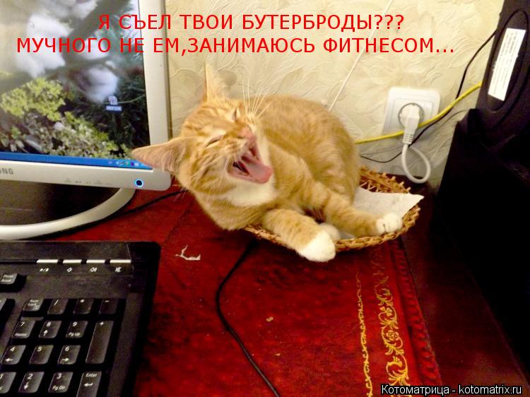 Я СЪЕЛ ТВОИ БУТЕРБРОДЫ??? МУЧНОГО НЕ ЕМ,ЗАНИМАЮСЬ ФИТНЕСОМ...... Котоматрица: Я СЪЕЛ ТВОИ БУТЕРБРОДЫ??? МУЧНОГО НЕ ЕМ,ЗАНИМАЮСЬ ФИТНЕСОМ...