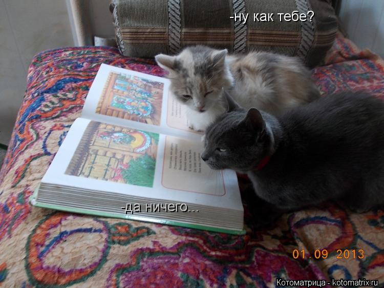 -ну как тебе? -ну как тебе? -да ничего... -да ничего... -да ничего...... Котоматрица: -ну как тебе? -ну как тебе? -да ничего... -да ничего... -да ничего...