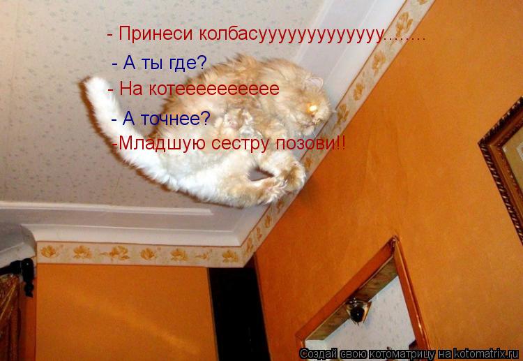 - Принеси колбасууууууууууууу........ - А ты где? - На котееееееееее - А точнее? -Младшую сестру позо... Котоматрица: - Принеси колбасууууууууууууу........ - А ты где? - На котееееееееее - А точнее? -Младшую сестру позови!!