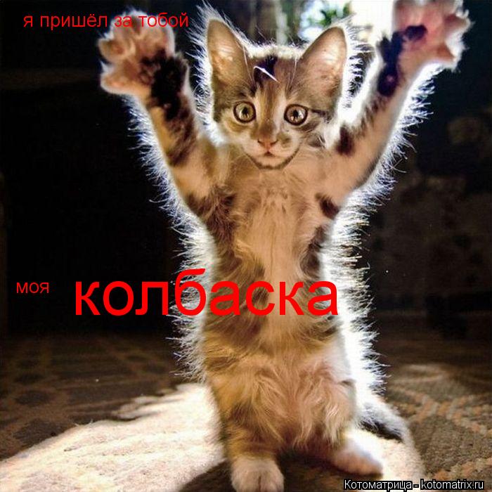 я пришёл за тобой моя колбаска... Котоматрица: я пришёл за тобой моя колбаска