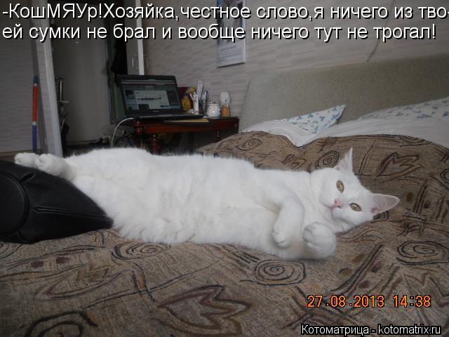 -КошМЯУр!Хозяйка,честное слово,я ничего из тво- ей сумки не брал и вообще ничего тут не трогал!... Котоматрица: -КошМЯУр!Хозяйка,честное слово,я ничего из тво- ей сумки не брал и вообще ничего тут не трогал!