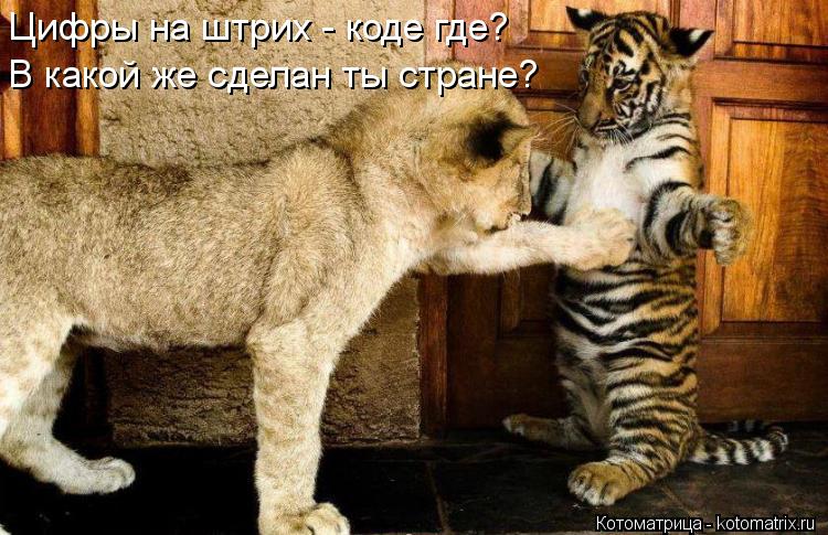 Цифры на штрих - коде где? В какой же сделан ты стране?... Котоматрица: Цифры на штрих - коде где? В какой же сделан ты стране?