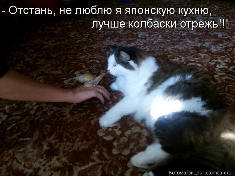 - Отстань, не люблю я японскую кухню, лучше колбаски отрежь!!!... Котоматрица: - Отстань, не люблю я японскую кухню, лучше колбаски отрежь!!!