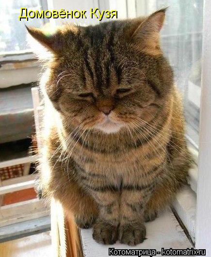 Домовёнок Кузя... Котоматрица: Домовёнок Кузя