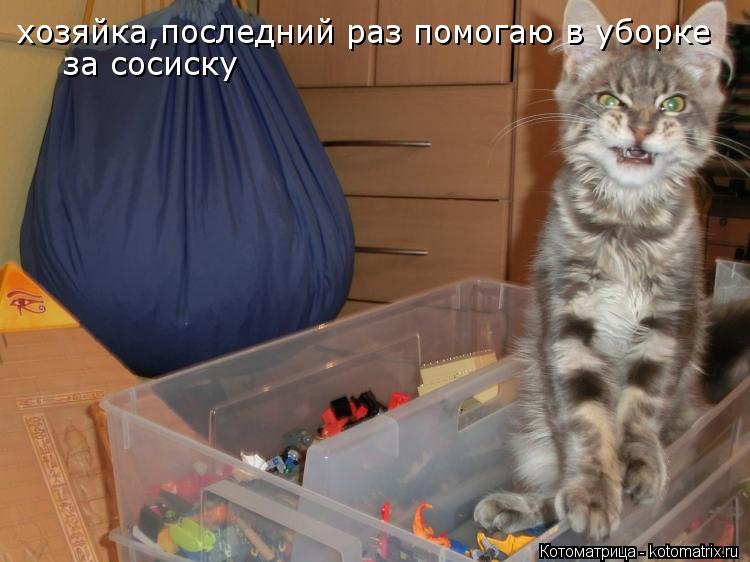 хозяйка,последний раз помогаю в уборке за сосиску... Котоматрица: хозяйка,последний раз помогаю в уборке за сосиску