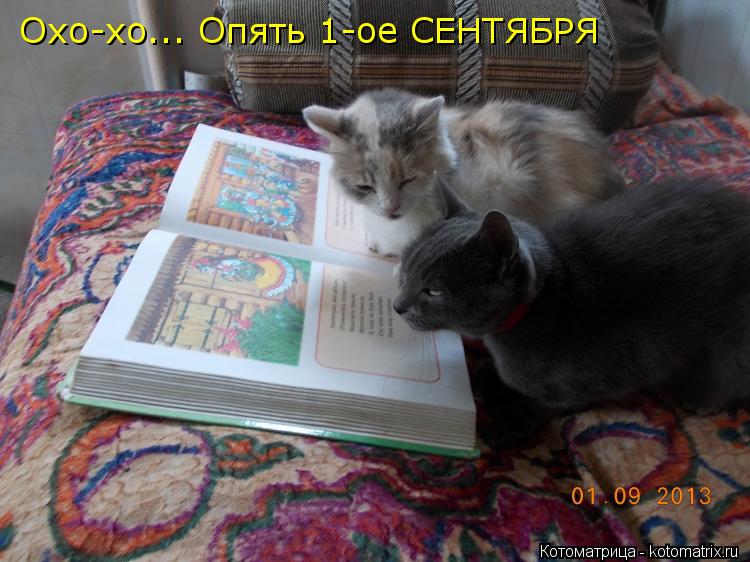 Охо-хо... Опять 1-ое СЕНТЯБРЯ... Котоматрица: Охо-хо... Опять 1-ое СЕНТЯБРЯ