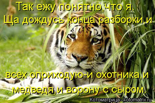 Котоматрица: Так ежу понятно,что я. Ща дождусь конца разборки,и всех оприходую-и охотника,и медведя,и ворону с сыром.