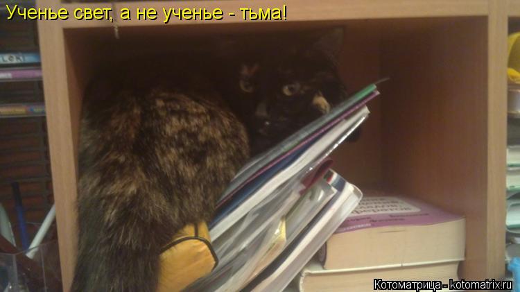 Ученье свет, а не ученье - тьма!... Котоматрица: Ученье свет, а не ученье - тьма!