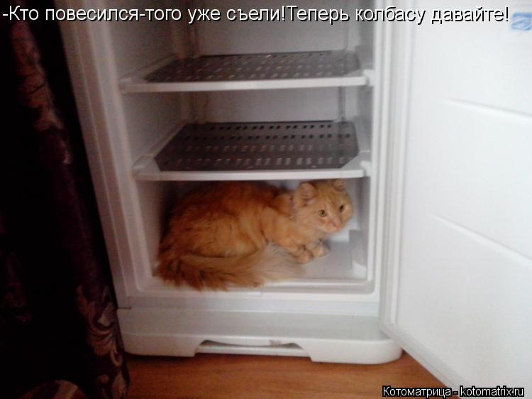 -Кто повесился-того уже съели!Теперь колбасу давайте!... Котоматрица: -Кто повесился-того уже съели!Теперь колбасу давайте!