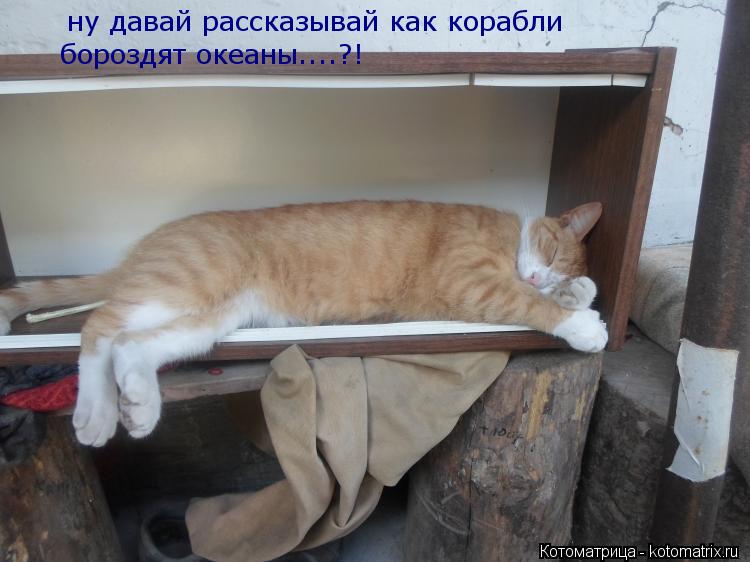 ну давай рассказывай как корабли бороздят океаны....?!... Котоматрица: ну давай рассказывай как корабли бороздят океаны....?!