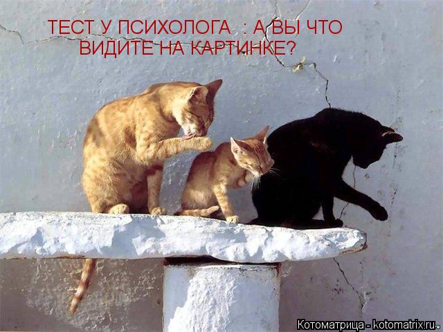 ТЕСТ У ПСИХОЛОГА : А ВЫ ЧТО ВИДИТЕ НА КАРТИНКЕ?... Котоматрица: ТЕСТ У ПСИХОЛОГА : А ВЫ ЧТО ВИДИТЕ НА КАРТИНКЕ?