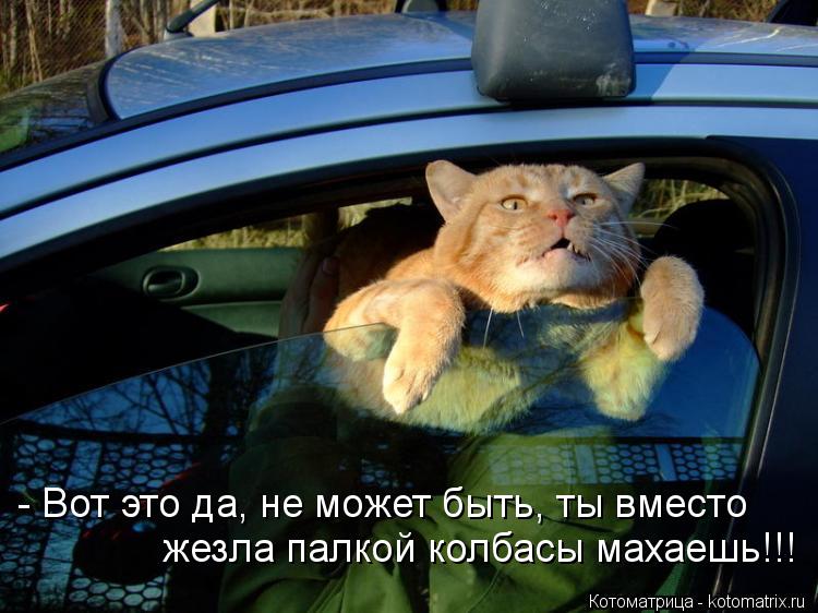 - Вот это да, не может быть, ты вместо жезла палкой колбасы махаешь!!!... Котоматрица: - Вот это да, не может быть, ты вместо жезла палкой колбасы махаешь!!!