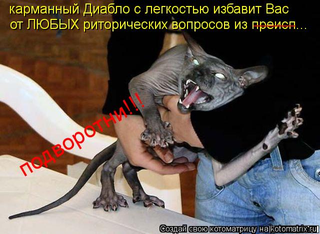 карманный Диабло с легкостью избавит Вас от ЛЮБЫХ риторических вопросов из преисп... подворотни!!! по... Котоматрица: карманный Диабло с легкостью избавит Вас от ЛЮБЫХ риторических вопросов из преисп... подворотни!!! подворотни!!! _______