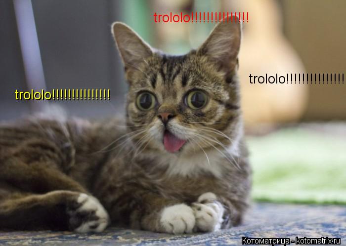 trololo!!!!!!!!!!!!!!! trololo!!!!!!!!!!!!!!! trololo!!!!!!!!!!!!!!!... Котоматрица: trololo!!!!!!!!!!!!!!! trololo!!!!!!!!!!!!!!! trololo!!!!!!!!!!!!!!!