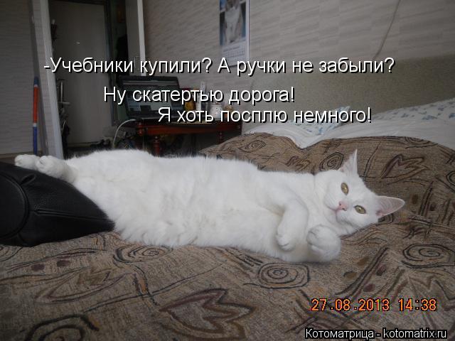 -Учебники купили? А ручки не забыли? Ну скатертью дорога! Я хоть посплю немного!... Котоматрица: -Учебники купили? А ручки не забыли? Ну скатертью дорога! Я хоть посплю немного!