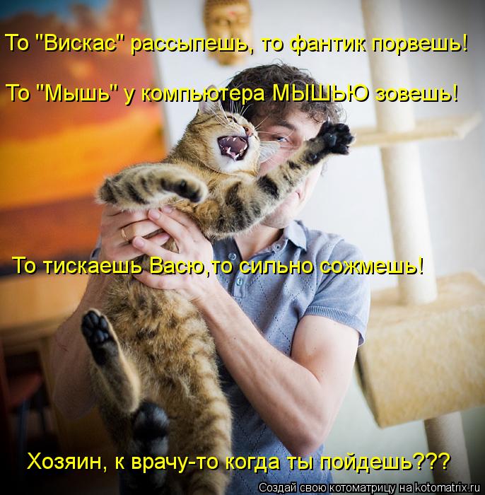 То "Вискас" рассыпешь, то фантик порвешь! То "Мышь" у компьютера МЫШЬЮ зовешь! То тискаешь Васю,то си... Котоматрица: То "Вискас" рассыпешь, то фантик порвешь! То "Мышь" у компьютера МЫШЬЮ зовешь! То тискаешь Васю,то сильно сожмешь! Хозяин, к врачу-то когда ты п