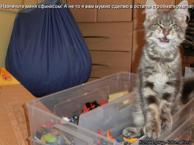 Назначьте меня сфинксом! А не то я вам мумию сделаю в остатки стройматериалов)... Котоматрица: Назначьте меня сфинксом! А не то я вам мумию сделаю в остатки стройматериалов)