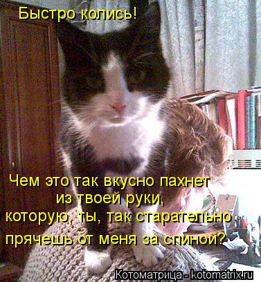 Быстро колись! Чем это так вкусно пахнет из твоей руки, которую, ты, так старательно прячешь от меня... Котоматрица: Быстро колись! Чем это так вкусно пахнет из твоей руки, которую, ты, так старательно прячешь от меня за спиной?