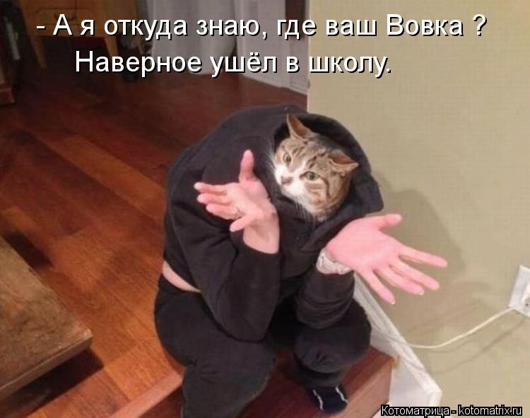 - А я откуда знаю, где ваш Вовка ? Наверное ушёл в школу.... Котоматрица: - А я откуда знаю, где ваш Вовка ? Наверное ушёл в школу.