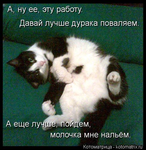 А, ну ее, эту работу. Давай лучше дурака поваляем. А еще лучше, пойдем, молочка мне нальём.... Котоматрица: А, ну ее, эту работу. Давай лучше дурака поваляем. А еще лучше, пойдем, молочка мне нальём.