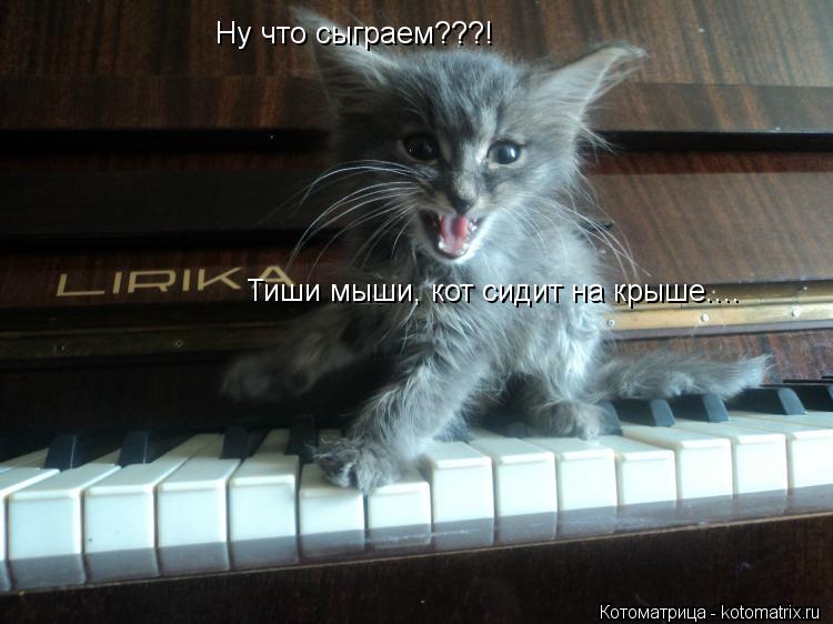 Котоматрица: Ну что сыграем???! Тиши мыши, кот сидит на крыше....