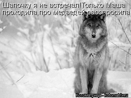 Шапочку я не встречал!Только Маша проходила,про медведей расспросила!... Котоматрица: Шапочку я не встречал!Только Маша проходила,про медведей расспросила!