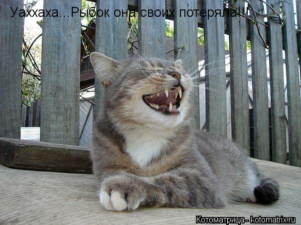 Уаххаха...Рыбок она своих потеряла!!!... Котоматрица: Уаххаха...Рыбок она своих потеряла!!!