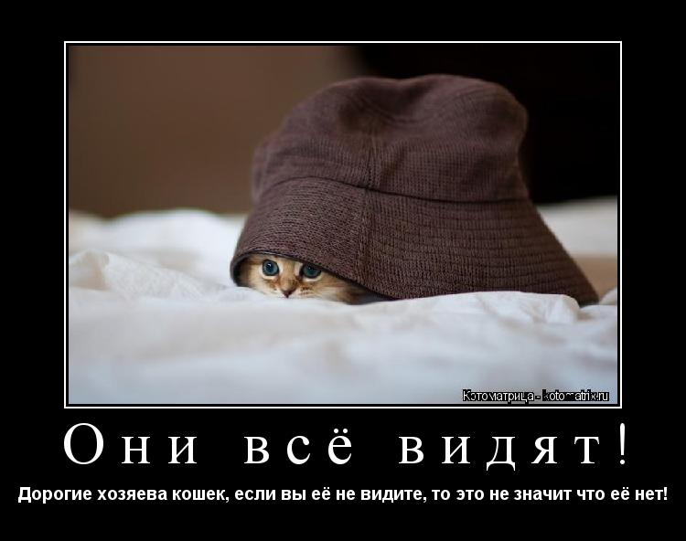 Они всё видят! Дорогие хозяева кошек, если вы её не видите, то это не значит что её нет!... Котоматрица: Они всё видят! Дорогие хозяева кошек, если вы её не видите, то это не значит что её нет!