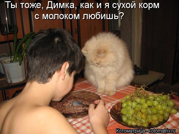 Ты тоже, Димка, как и я сухой корм с молоком любишь?... Котоматрица: Ты тоже, Димка, как и я сухой корм с молоком любишь?