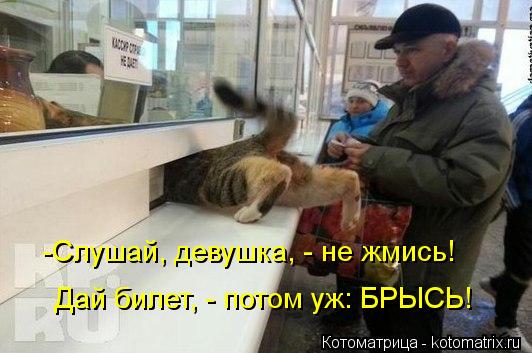-Слушай, девушка, - не жмись! Дай билет, - потом уж: БРЫСЬ!... Котоматрица: -Слушай, девушка, - не жмись! Дай билет, - потом уж: БРЫСЬ!