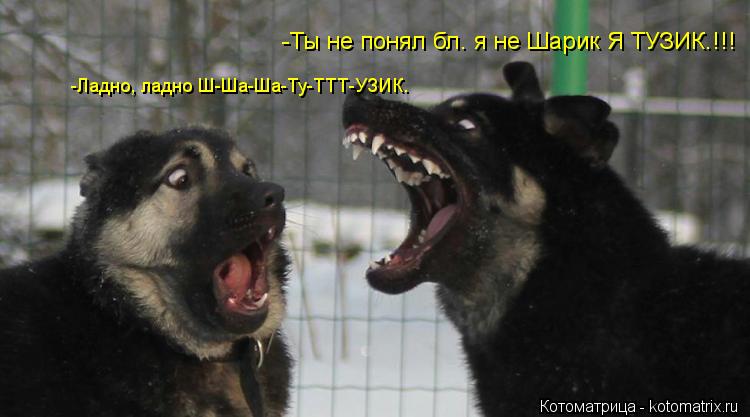 -Ты не понял бл. я не Шарик Я ТУЗИК.!!! -Ладно, ладно Ш-Ша-Ша-Ту-ТТТ-УЗИК.... Котоматрица: -Ты не понял бл. я не Шарик Я ТУЗИК.!!! -Ладно, ладно Ш-Ша-Ша-Ту-ТТТ-УЗИК.