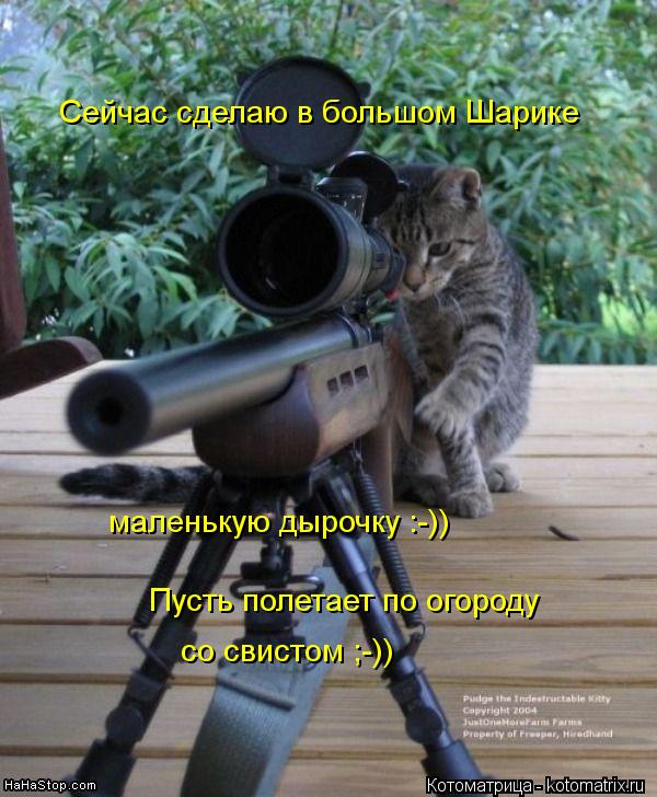Сейчас сделаю в большом Шарике маленькую дырочку :-)) Пусть полетает по огороду со свистом ;-))... Котоматрица: Сейчас сделаю в большом Шарике маленькую дырочку :-)) Пусть полетает по огороду со свистом ;-))