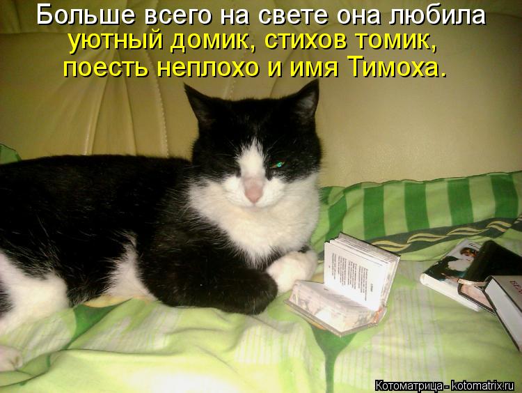 Больше всего на свете она любила уютный домик, стихов томик, поесть неплохо и имя Тимоха.... Котоматрица: Больше всего на свете она любила уютный домик, стихов томик, поесть неплохо и имя Тимоха.