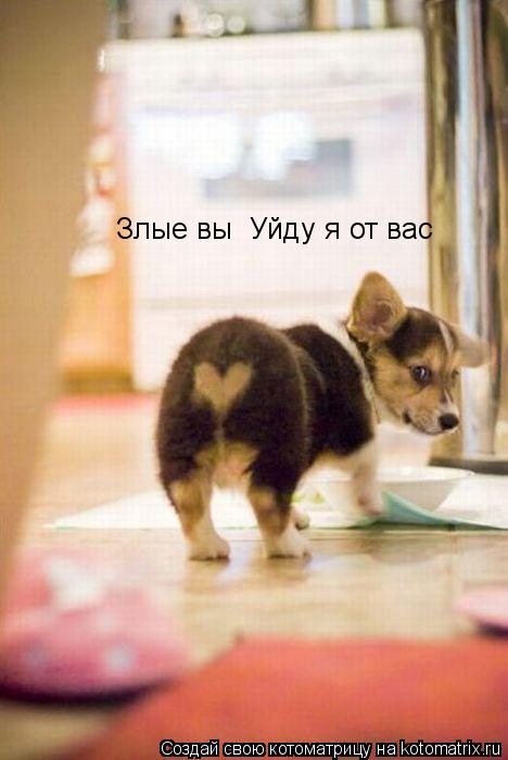 Злые вы Уйду я от вас... Котоматрица: Злые вы Уйду я от вас