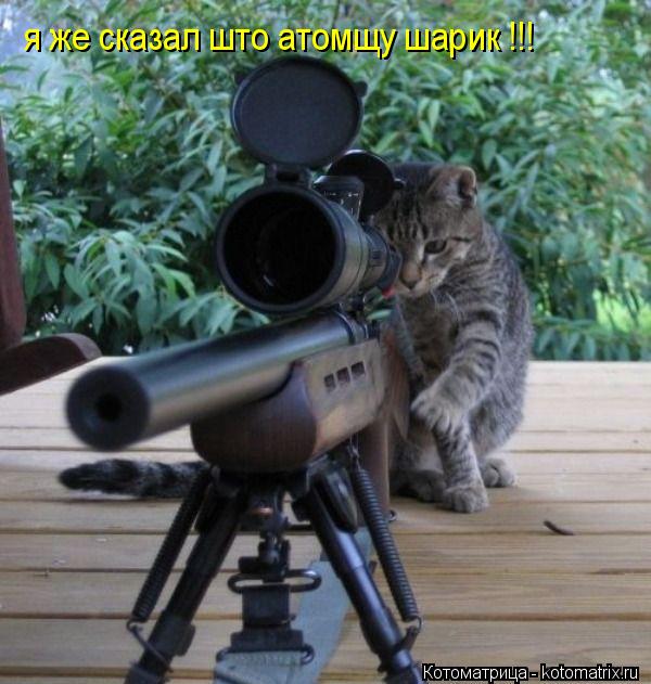 я же сказал што атомщу шарик !!!... Котоматрица: я же сказал што атомщу шарик !!!