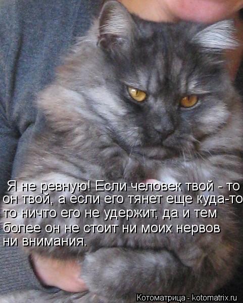 Я не ревную! Если человек твой - то он твой, а если его тянет еще куда-то то ничто его не удержит, д... Котоматрица: Я не ревную! Если человек твой - то он твой, а если его тянет еще куда-то то ничто его не удержит, да и тем более он не стоит ни моих нервов ни в