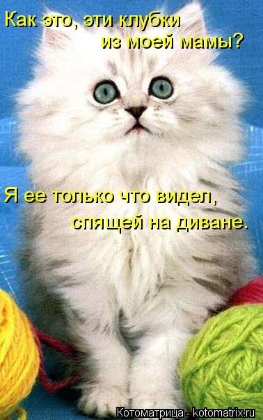 Как это, эти клубки из моей мамы? Я ее только что видел, спящей на диване.... Котоматрица: Как это, эти клубки из моей мамы? Я ее только что видел, спящей на диване.