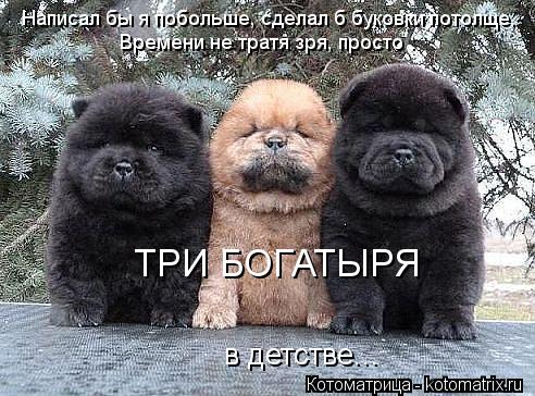 Написал бы я побольше, сделал б буковки потолще, Времени не тратя зря, просто : ТРИ БОГАТЫРЯ в дет... Котоматрица: Написал бы я побольше, сделал б буковки потолще, Времени не тратя зря, просто : ТРИ БОГАТЫРЯ в детстве...