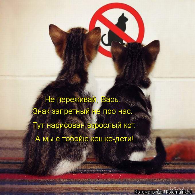 Тут нарисован взрослый кот. А мы с тобойю кошко-дети! Знак запретный не про нас. Не переживай, Вась.... Котоматрица: Тут нарисован взрослый кот. А мы с тобойю кошко-дети! Знак запретный не про нас. Не переживай, Вась.