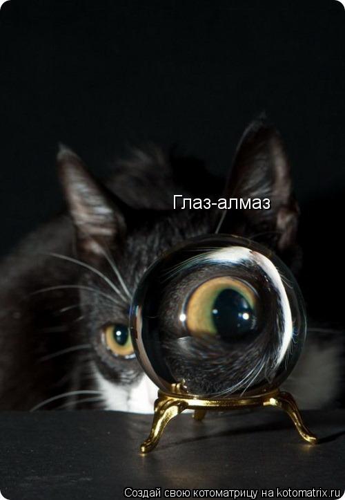 Глаз-алмаз... Котоматрица: Глаз-алмаз