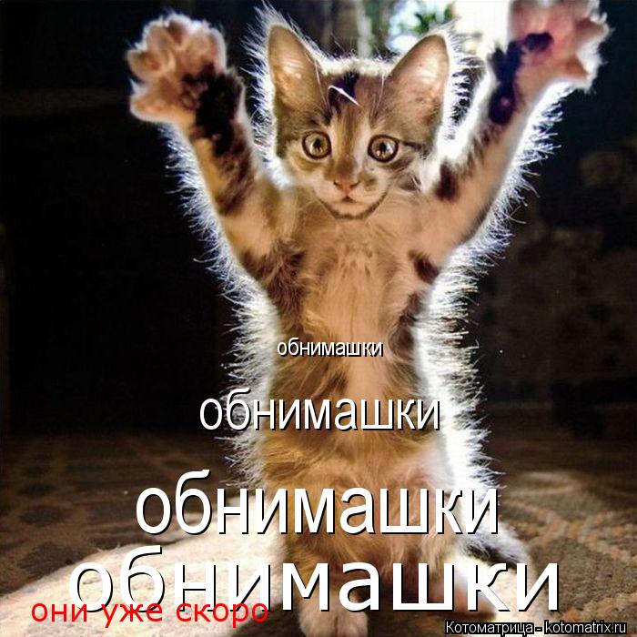 обнимашки обнимашки обнимашки обнимашки они уже скоро... Котоматрица: обнимашки обнимашки обнимашки обнимашки они уже скоро