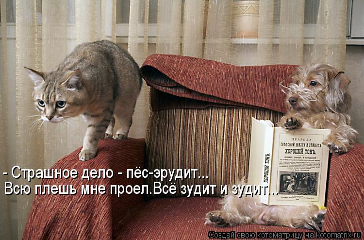- Страшное дело - пёс-эрудит... Всю плешь мне проел.Всё зудит и зудит...... Котоматрица: - Страшное дело - пёс-эрудит... Всю плешь мне проел.Всё зудит и зудит...